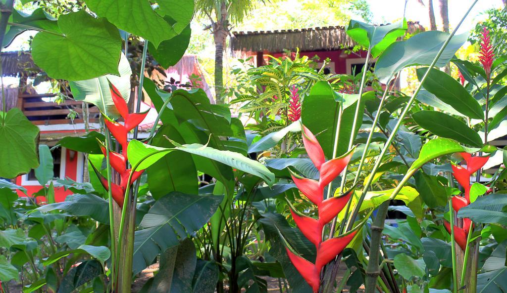 Pousada Calypso Hotel Trancoso Exterior photo